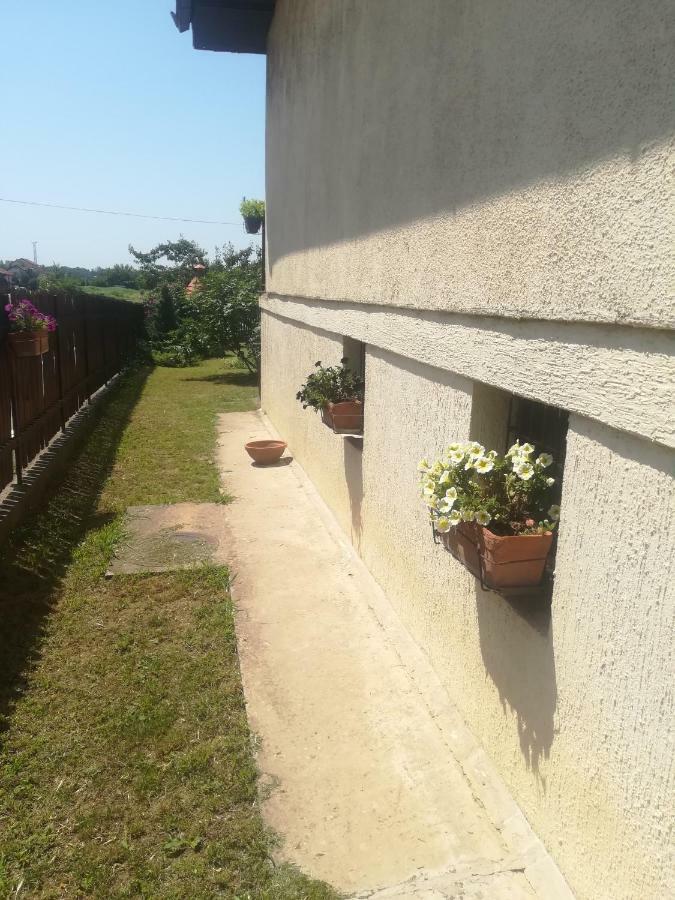Anejo Apartment Beograd Bagian luar foto